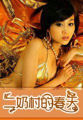 二奶在农村的电影