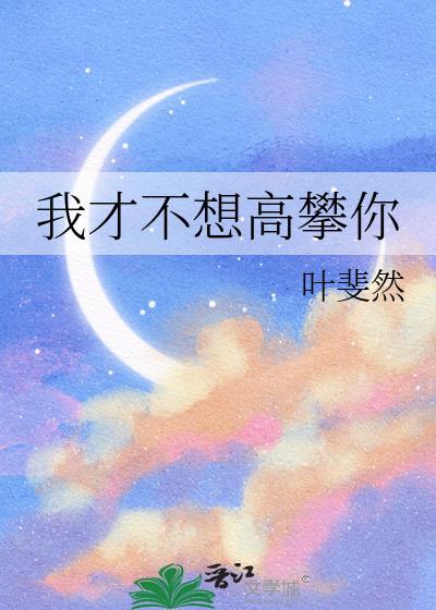 我才不想高攀你txt