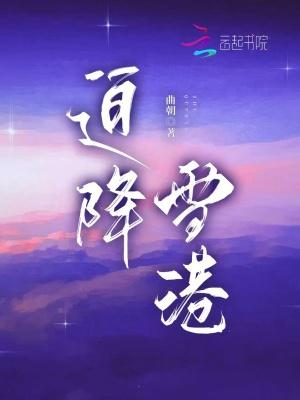 迫降雪港大结局免费观看