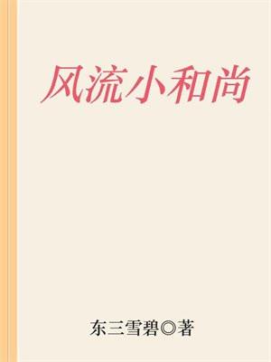 风流小和尚林云