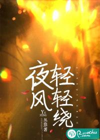 夜风轻轻绕TXT