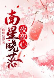 夜南星作品