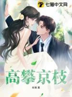 攀高枝儿免费阅读