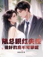 电视剧陆总是什么名字