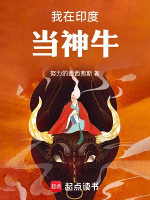 我在印度的