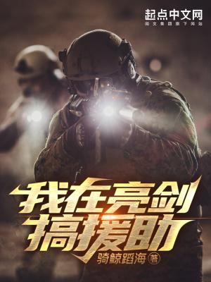 我在亮剑搞援助NB