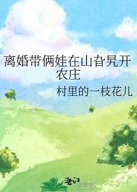 离婚带俩娃的梗