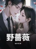野蔷薇村的故事