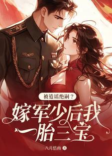 被造谣绝嗣?嫁军少后我一胎三宝八月惜雨