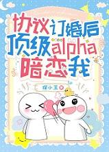 协议结婚后热搜爆了最新