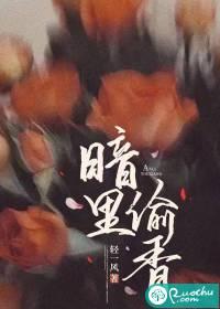 暗里偷香讲的什么