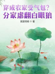 穿成农家老妇最新章节无防盗