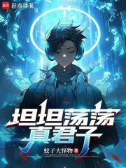 坦坦荡荡真君子无防盗