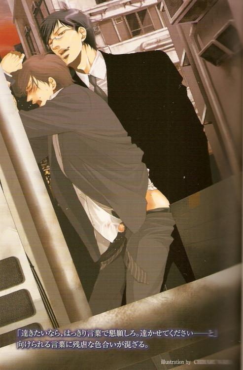 乐可(校对版+番外)简介