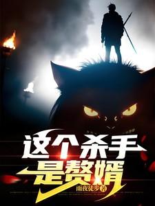 这个杀手是赘婿TXT免费