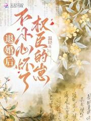 不小心怀了权臣的崽 免费阅读