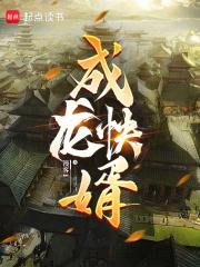 乘龙快婿第一季粤语
