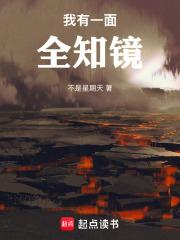 我有一面全知镜无防盗