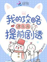 我的攻略方式有问题