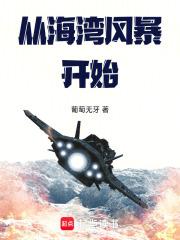 从海湾风暴开始123读