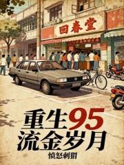 重生95流金岁月篱笆好