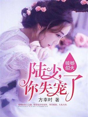 陆少的暖婚新要