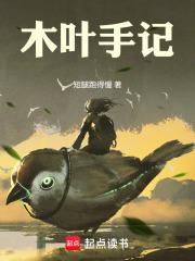 木叶手记TXT