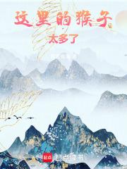 这里的猴子太多了什么意思