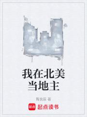 我在美国当地主