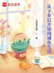 年代从下乡后开始的咸鱼生活列表