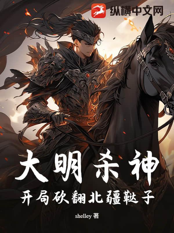 大明杀神综武系统