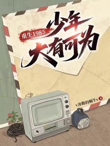 重生1985少年大有可为TXT