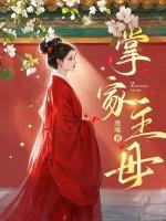 掌家全文免费阅读