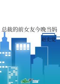 总裁的前女友今晚当妈 赵史觉