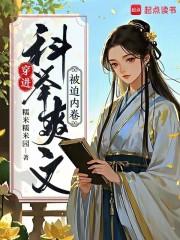 穿到古代科举文