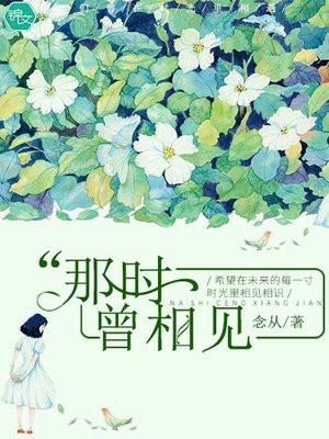 那时曾相见 念从