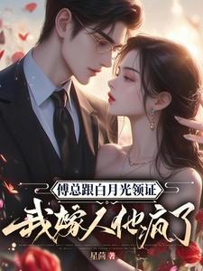 我嫁人他疯了合集