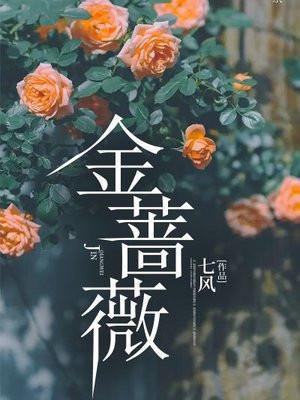 金蔷薇水生烟著