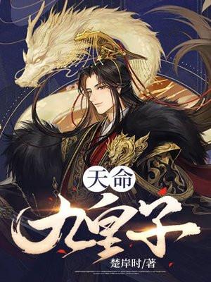 天命九皇子第十集