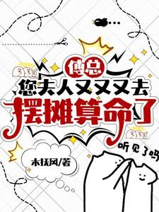 您夫人又又又去摆摊算命了完整