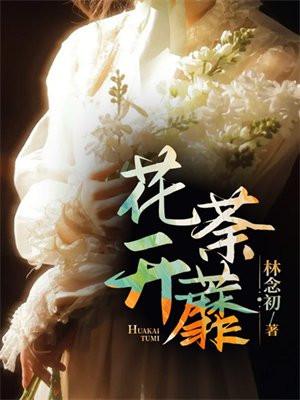 花开荼蘼by林念初