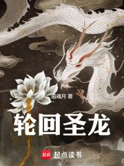 轮回圣龙叶青青