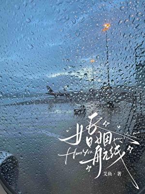 婚姻航线免费阅读