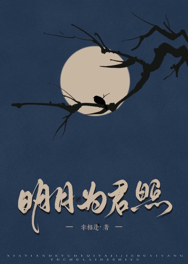 明月照我心