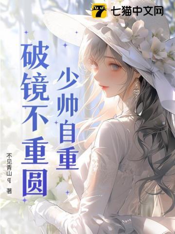 少帅自重破镜不重圆免费阅读