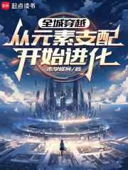 全城穿越:从元素支配开始进化