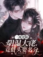 一夜沦陷,阴湿大佬竟低头要名分